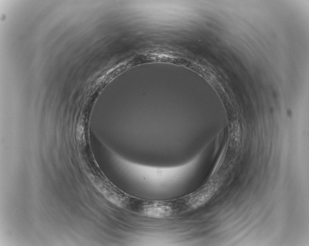X0000087610754200705112353