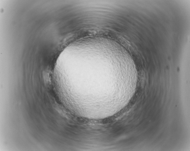 X0000087610770200705112352