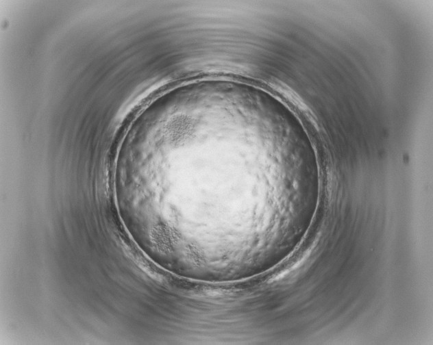 X0000087610782200705112352