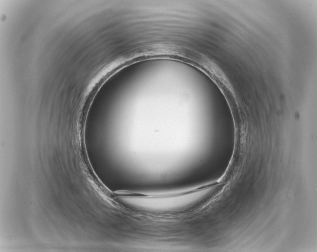 X0000087610789200705112352