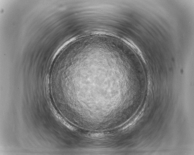 X0000087610798200705112352