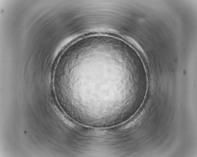 X0000087610831200705112351