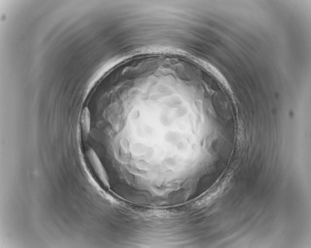 X0000087610847200705112351