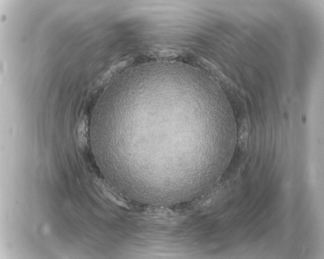 X0000087610866200705112351