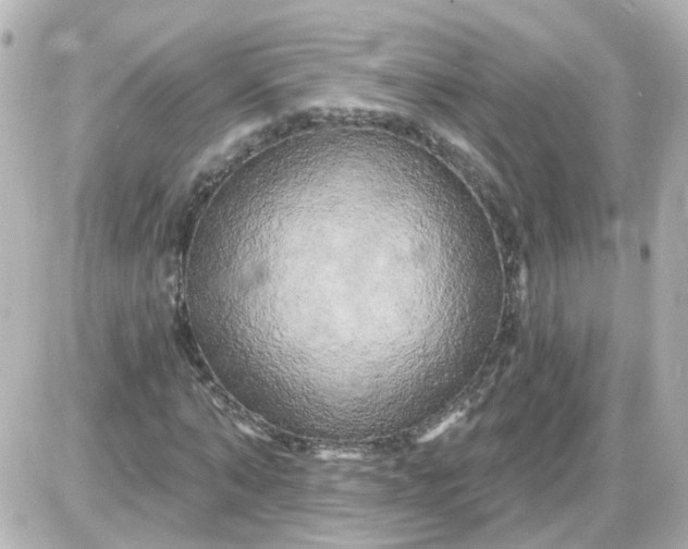 X0000087610870200705112351