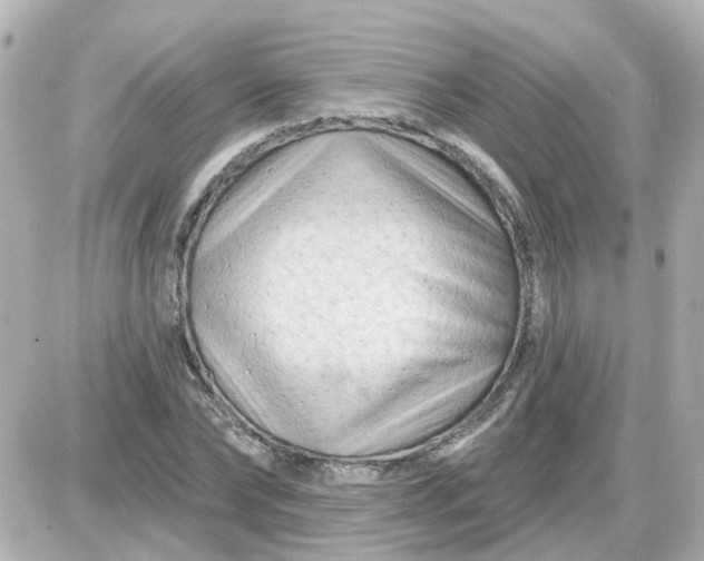 X0000087610878200705112351