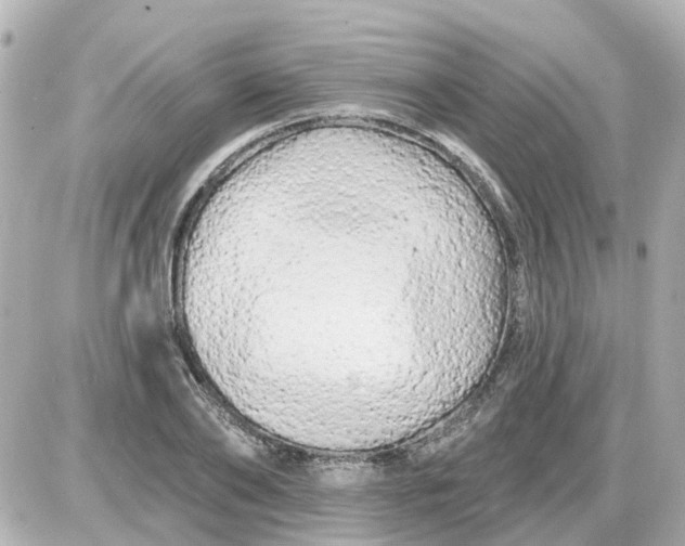 X0000087610886200705112350
