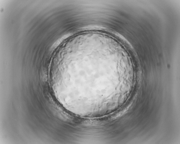 X0000087610929200705112349