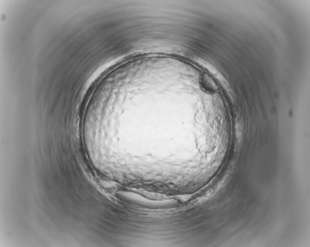 X0000087610933200705112350