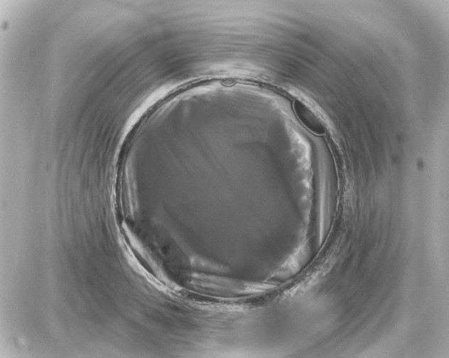 X0000087610941200705112350