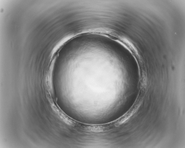 X0000087610952200705112350