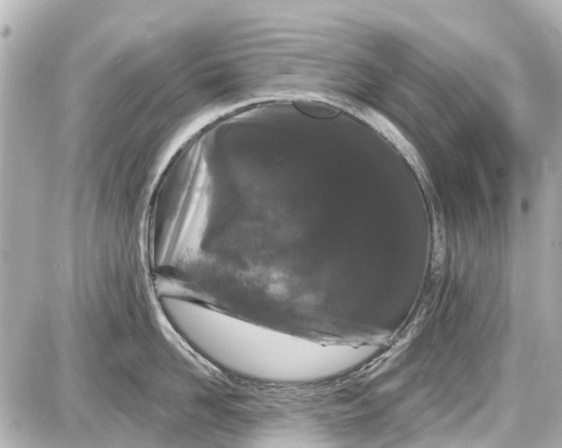 X0000087610958200705112350