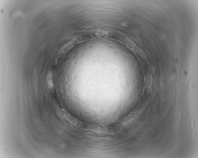X0000087610962200705112349