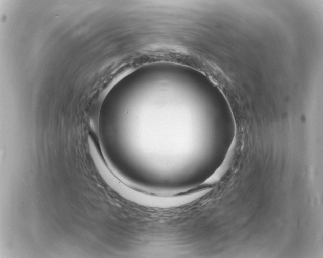 X0000087610965200705112349