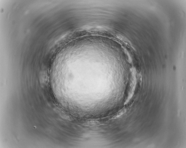 X0000087610966200705112349