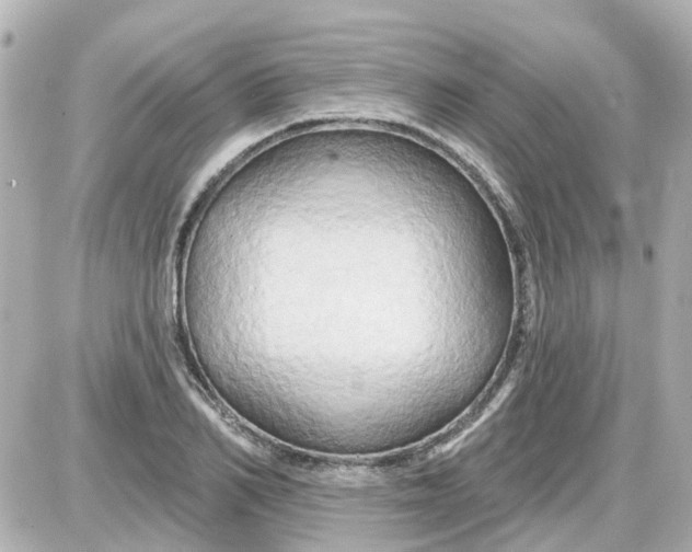 X0000087610982200705112349