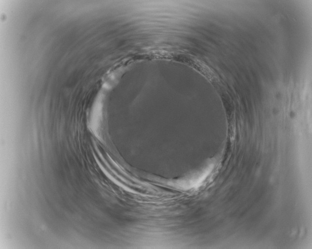 X0000087611010200705112348