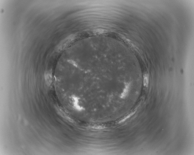 X0000087611011200705112348