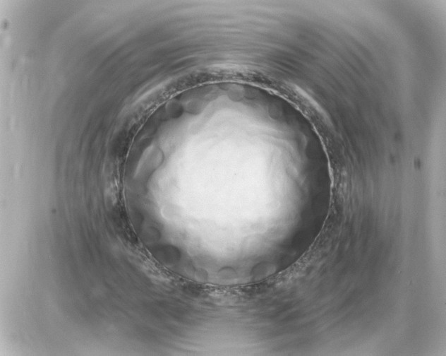 X0000087611015200705112348