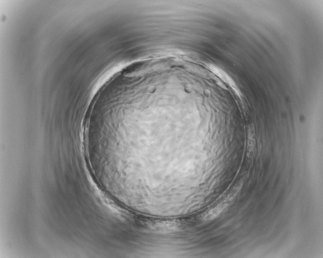 X0000087611047200705112348