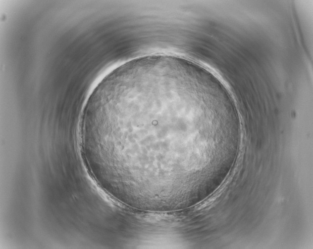 X0000087611056200705112348