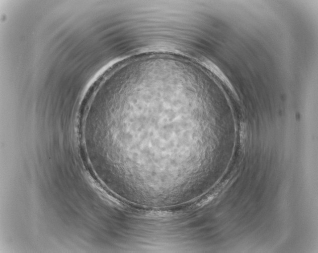 X0000087611068200705112347