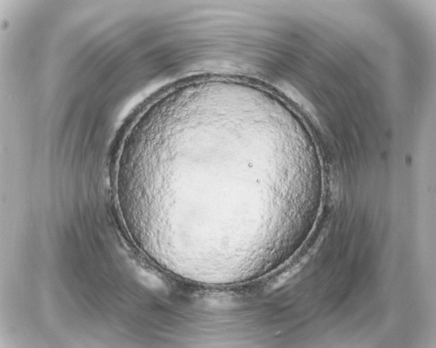 X0000087611070200705112347