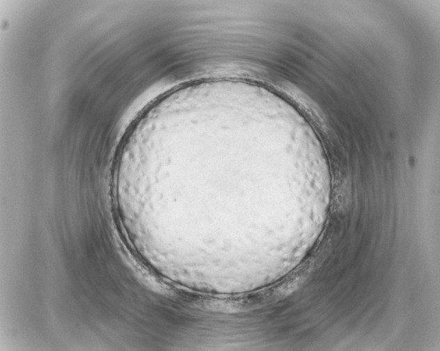 X0000087611086200705112347