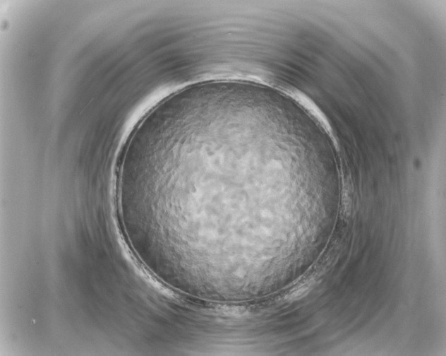 X0000087611096200705112347