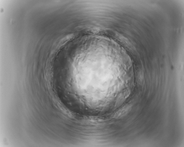 X0000087611105200705112346