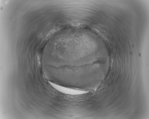 X0000087611106200705112346