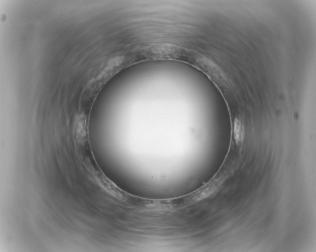 X0000087611107200705112346