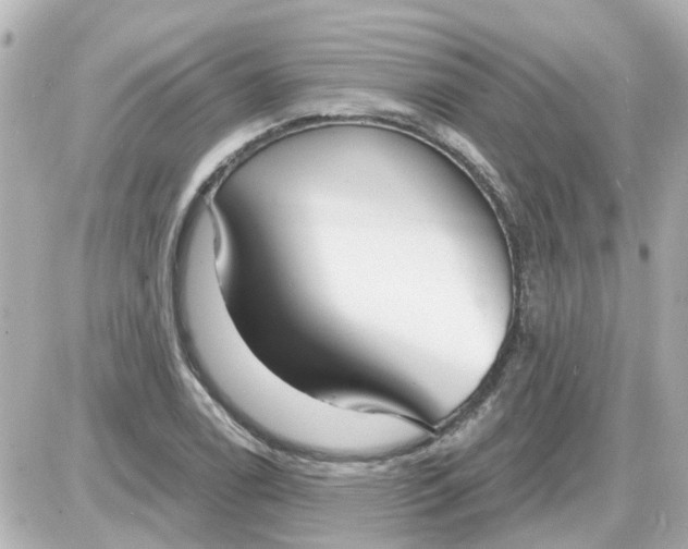 X0000087611122200705112346