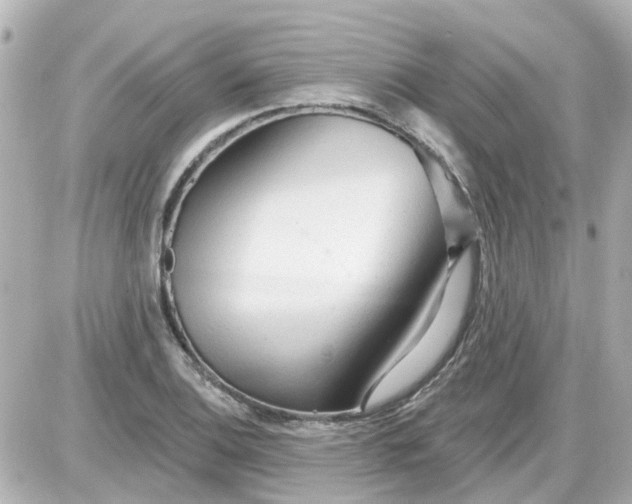 X0000087611124200705112346