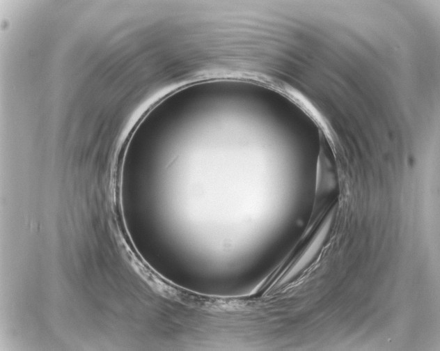 X0000087611148200705112347
