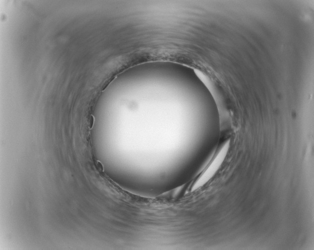 X0000087611153200705112346