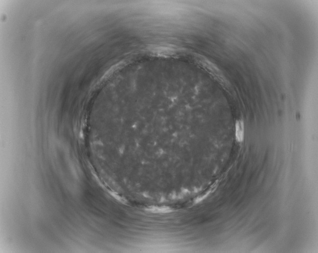 X0000087611155200705112346