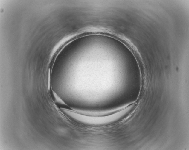X0000087611175200705112346