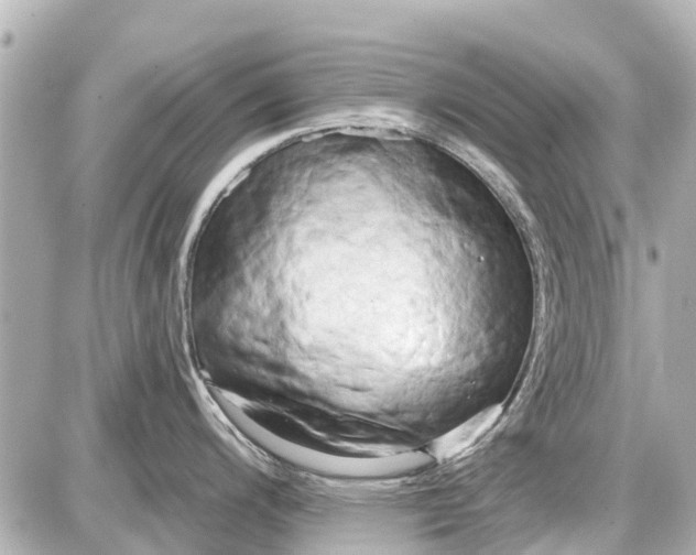 X0000087611200200705112345