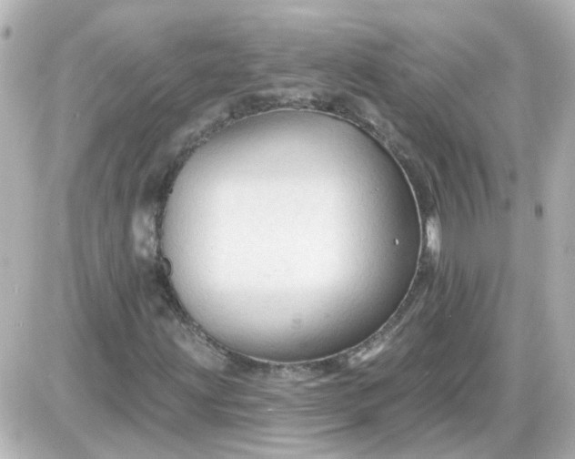 X0000087611203200705112345