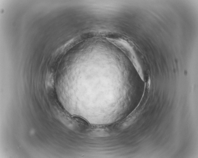 X0000087611204200705112345