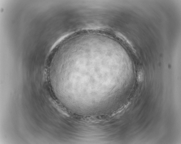 X0000087611208200705112345