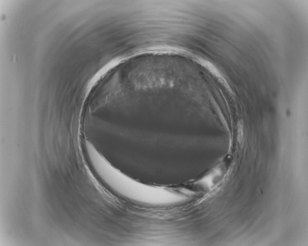 X0000087611229200705112345