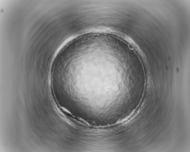 X0000087611232200705112345