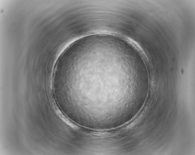 X0000087611236200705112345