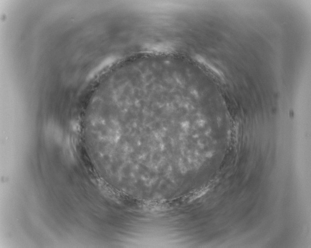 X0000087611254200705112344