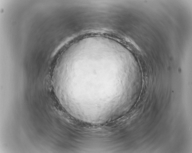 X0000087611256200705112344