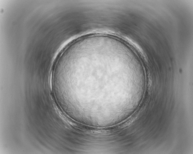 X0000087611272200705112344