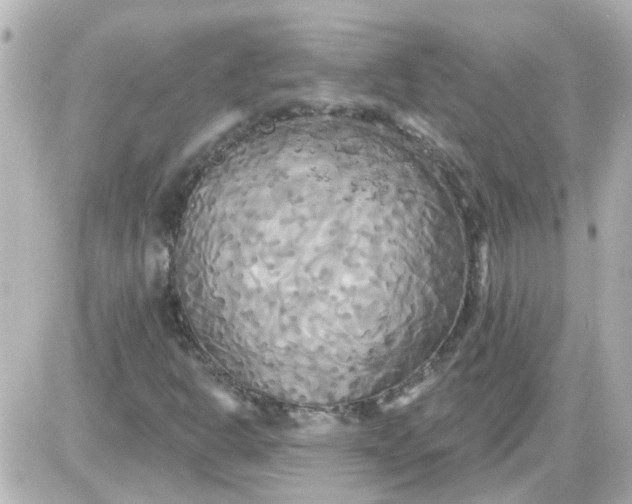 X0000087611302200705112343