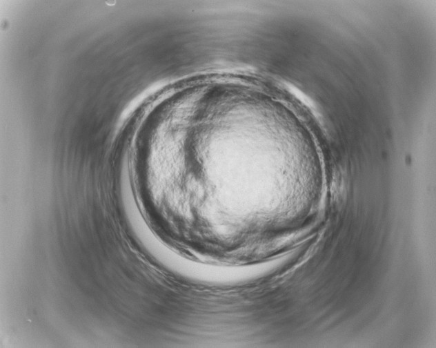 X0000087611310200705112343